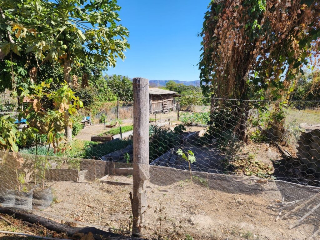 Fazenda 120 Alqueires – Pecuária/Agricultura – 2,5km de Teresina de Goiás – Chapada dos Veadeiros