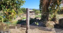 Fazenda 120 Alqueires – Pecuária/Agricultura – 2,5km de Teresina de Goiás – Chapada dos Veadeiros Fazenda 120 Alqueires – Pecuária/Agricultura – 2,5km de Teresina de Goiás – Chapada dos Veadeiros