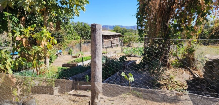 Fazenda 120 Alqueires – Pecuária/Agricultura – 2,5km de Teresina de Goiás – Chapada dos Veadeiros