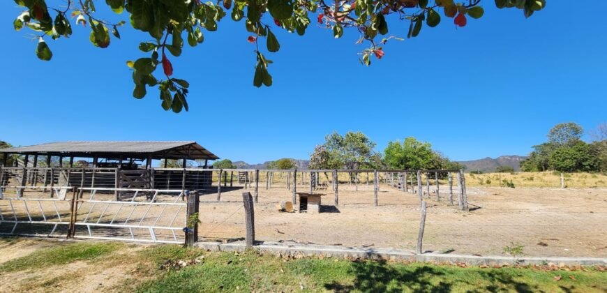 Fazenda 120 Alqueires – Pecuária/Agricultura – 2,5km de Teresina de Goiás – Chapada dos Veadeiros