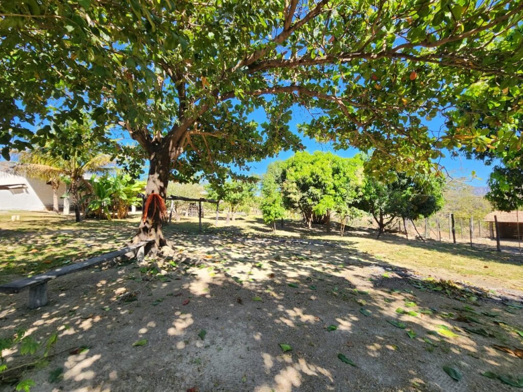 Fazenda 120 Alqueires – Pecuária/Agricultura – 2,5km de Teresina de Goiás – Chapada dos Veadeiros