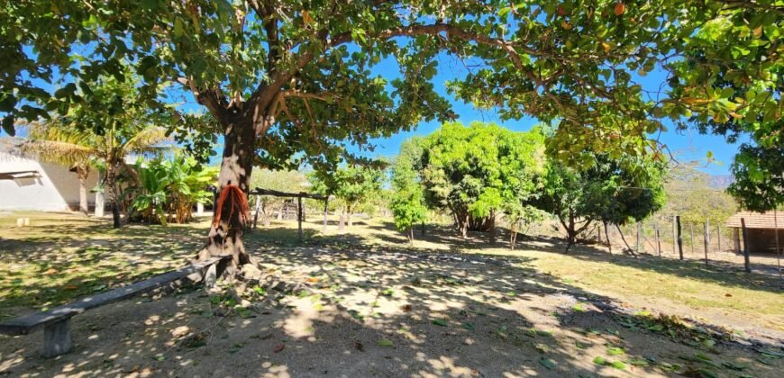 Fazenda 120 Alqueires – Pecuária/Agricultura – 2,5km de Teresina de Goiás – Chapada dos Veadeiros