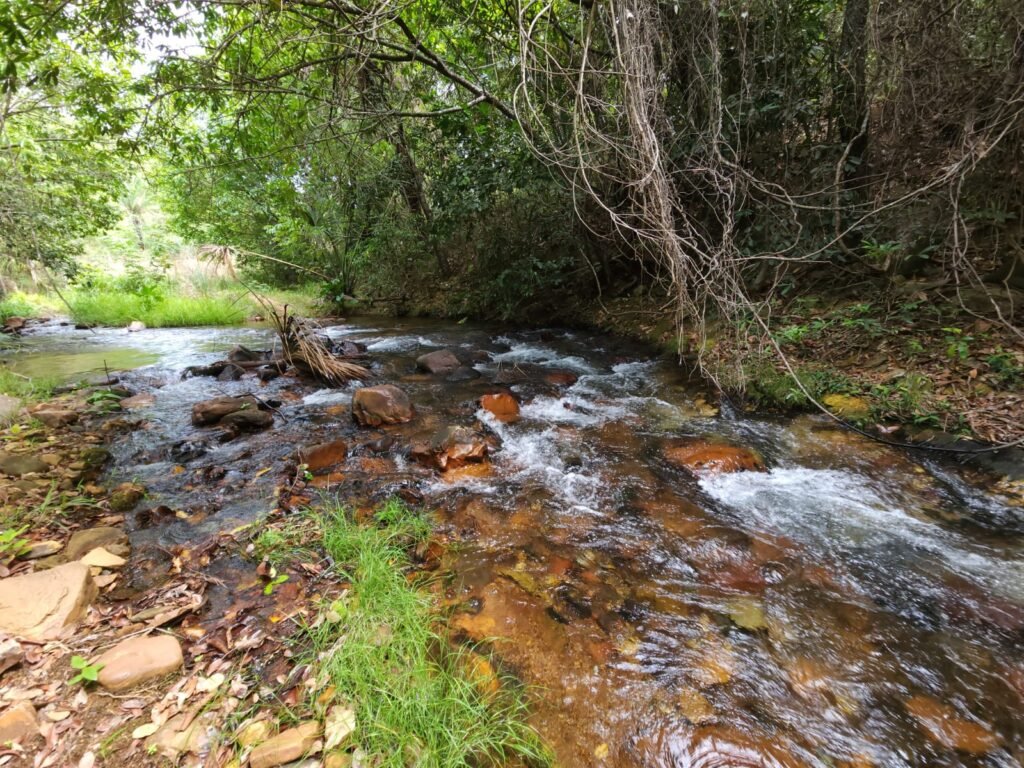 Maravilhosa Chácara de 37ha – Rio – Alto Paraíso de Goiás