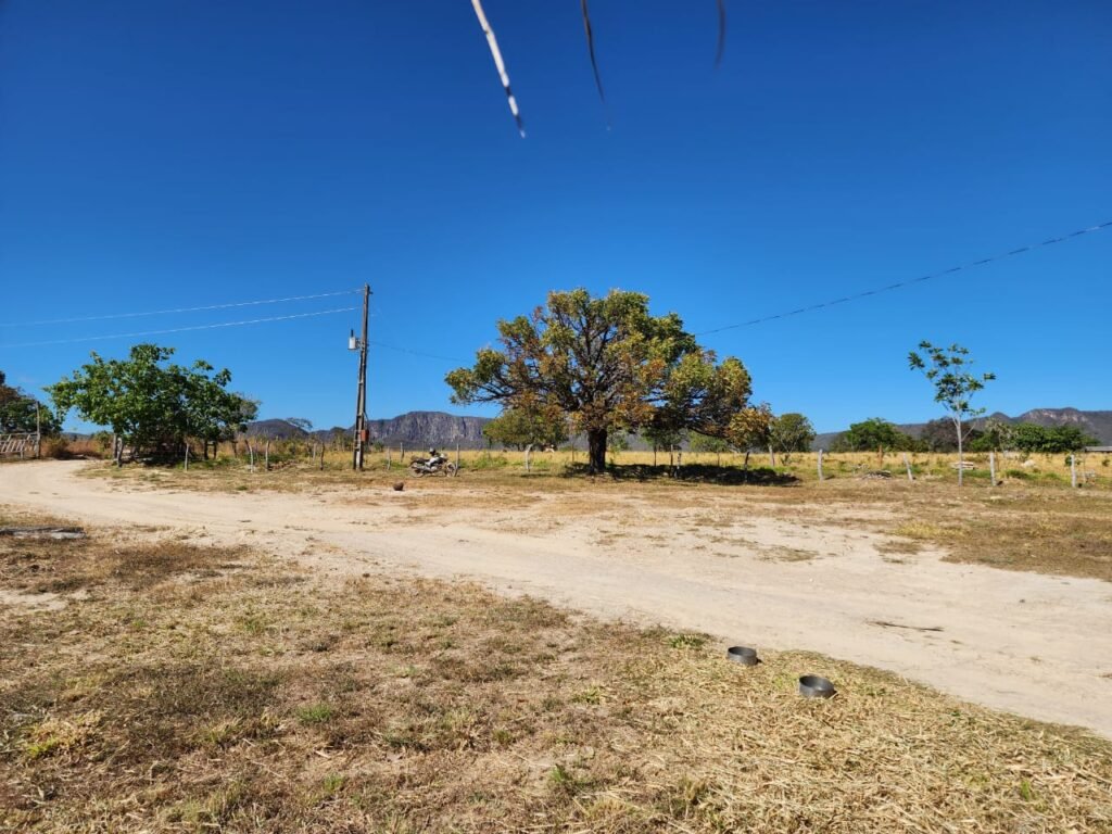 Fazenda 120 Alqueires – Pecuária/Agricultura – 2,5km de Teresina de Goiás – Chapada dos Veadeiros
