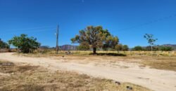 Fazenda 120 Alqueires – Pecuária/Agricultura – 2,5km de Teresina de Goiás – Chapada dos Veadeiros Fazenda 120 Alqueires – Pecuária/Agricultura – 2,5km de Teresina de Goiás – Chapada dos Veadeiros