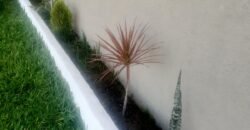 Vende-se Casa – Novo Horizonte – Alto Paraíso de Goiás Vende-se Casa – Novo Horizonte – Alto Paraíso de Goiás