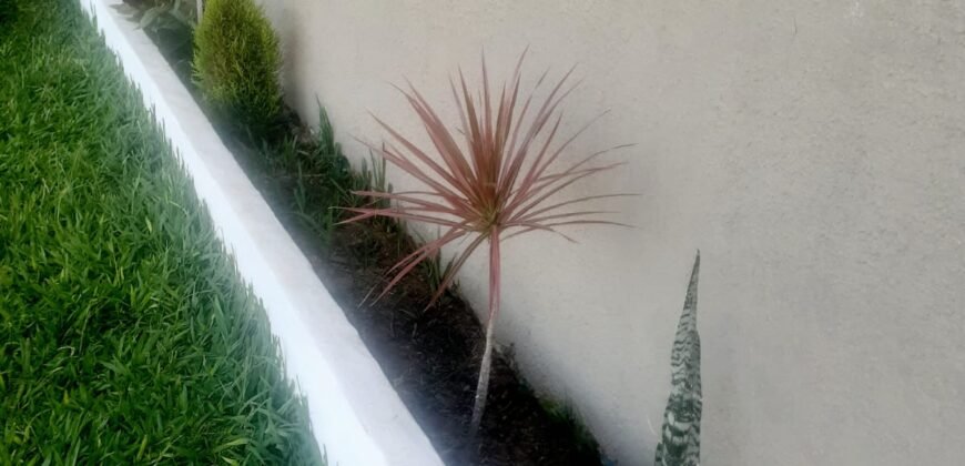 Vende-se Casa – Novo Horizonte – Alto Paraíso de Goiás