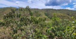 Lote 1.065m2 – 30m2 da Cachoeira da Usina – Urbano – Poço Artesiano – Alto Paraíso de Goiás Lote 1.065m2 – 30m2 da Cachoeira da Usina – Urbano – Poço Artesiano – Alto Paraíso de Goiás