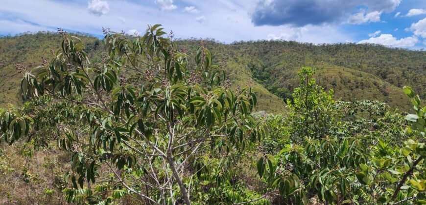 Lote 1.065m2 – 30m2 da Cachoeira da Usina – Urbano – Poço Artesiano – Alto Paraíso de Goiás