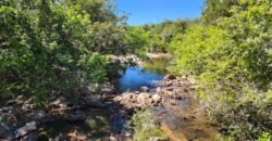 Fazenda 120 Alqueires – Pecuária/Agricultura – 2,5km de Teresina de Goiás – Chapada dos Veadeiros Fazenda 120 Alqueires – Pecuária/Agricultura – 2,5km de Teresina de Goiás – Chapada dos Veadeiros