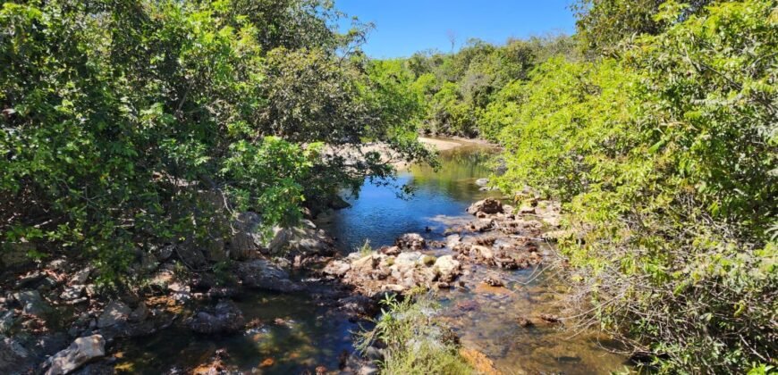 Fazenda 120 Alqueires – Pecuária/Agricultura – 2,5km de Teresina de Goiás – Chapada dos Veadeiros
