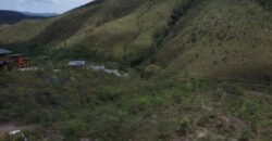 Lote 1.065m2 – 30m2 da Cachoeira da Usina – Urbano – Poço Artesiano – Alto Paraíso de Goiás Lote 1.065m2 – 30m2 da Cachoeira da Usina – Urbano – Poço Artesiano – Alto Paraíso de Goiás