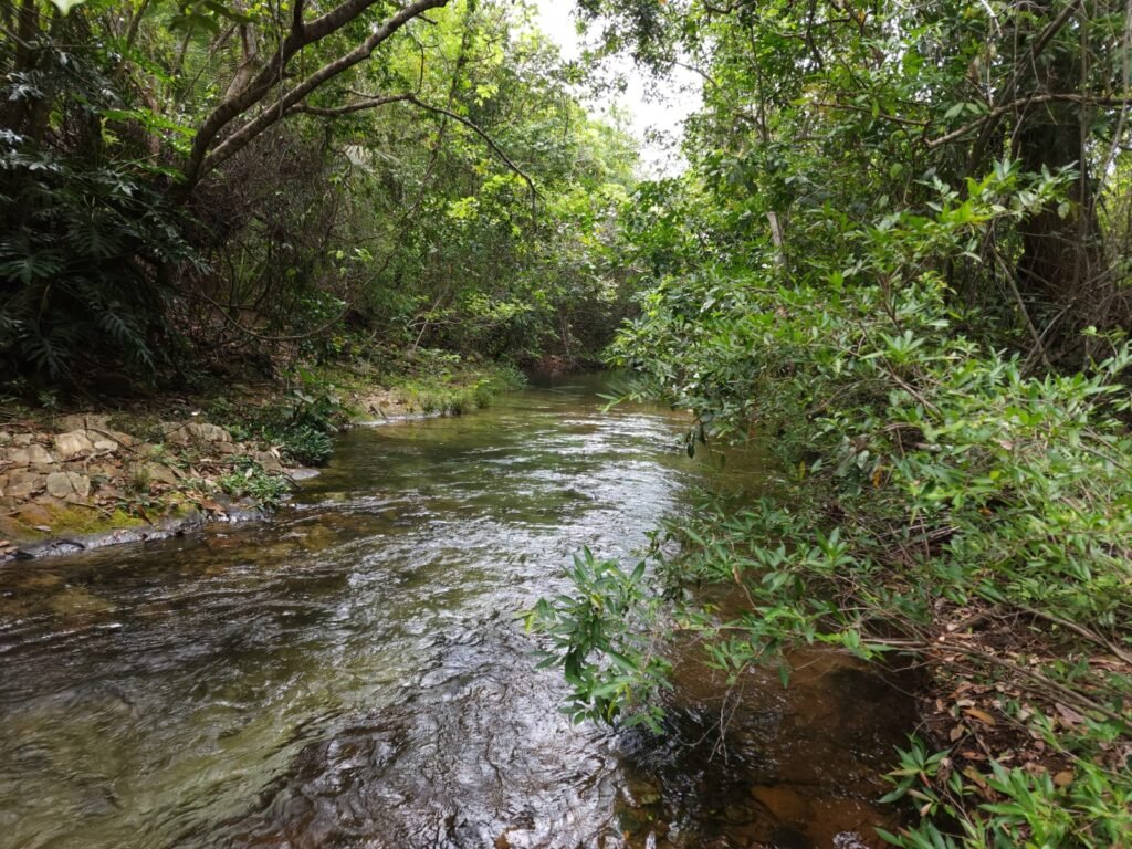 Maravilhosa Chácara de 37ha – Rio – Alto Paraíso de Goiás