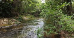 Maravilhosa Chácara de 37ha – Rio – Alto Paraíso de Goiás