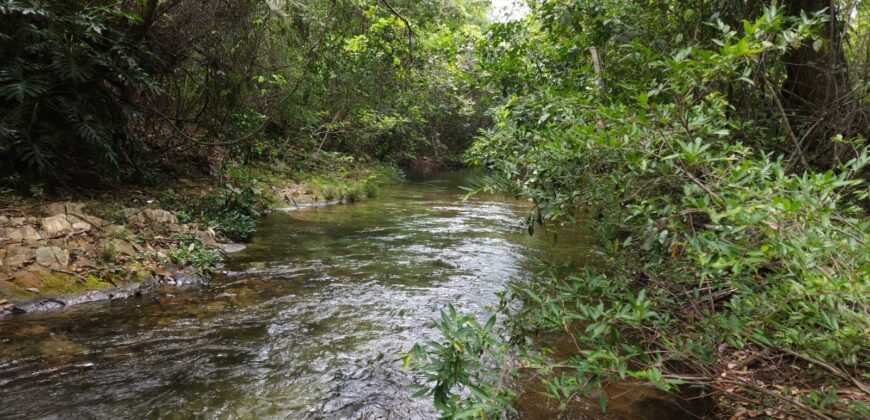 Maravilhosa Chácara de 37ha – Rio – Alto Paraíso de Goiás