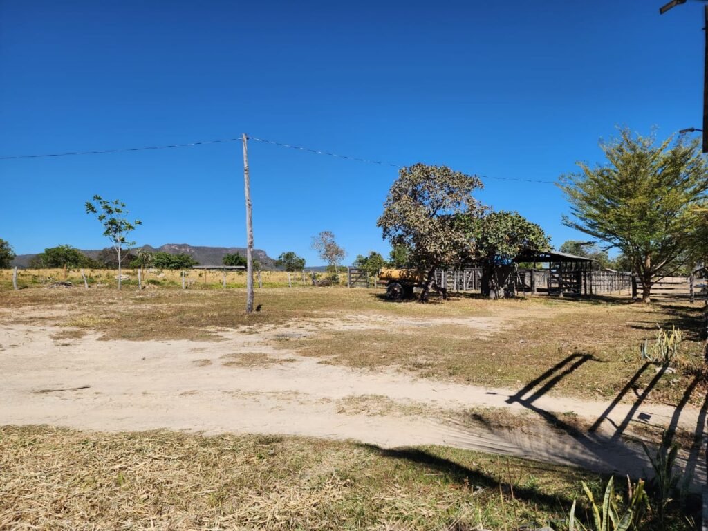 Fazenda 120 Alqueires – Pecuária/Agricultura – 2,5km de Teresina de Goiás – Chapada dos Veadeiros
