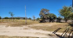 Fazenda 120 Alqueires – Pecuária/Agricultura – 2,5km de Teresina de Goiás – Chapada dos Veadeiros Fazenda 120 Alqueires – Pecuária/Agricultura – 2,5km de Teresina de Goiás – Chapada dos Veadeiros