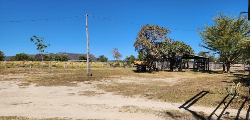 Fazenda 120 Alqueires – Pecuária/Agricultura – 2,5km de Teresina de Goiás – Chapada dos Veadeiros