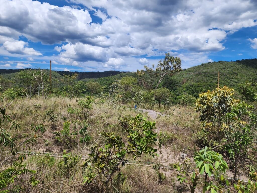 Lote 1.065m2 – 30m2 da Cachoeira da Usina – Urbano – Poço Artesiano – Alto Paraíso de Goiás
