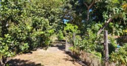 Fazenda 120 Alqueires – Pecuária/Agricultura – 2,5km de Teresina de Goiás – Chapada dos Veadeiros Fazenda 120 Alqueires – Pecuária/Agricultura – 2,5km de Teresina de Goiás – Chapada dos Veadeiros