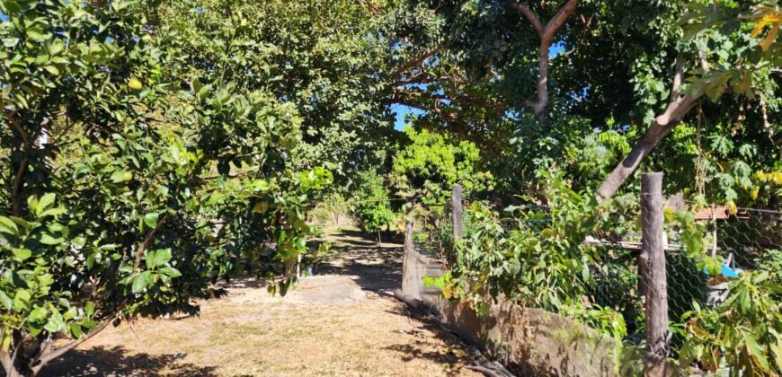 Fazenda 120 Alqueires – Pecuária/Agricultura – 2,5km de Teresina de Goiás – Chapada dos Veadeiros