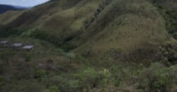 Lote 1.065m2 – 30m2 da Cachoeira da Usina – Urbano – Poço Artesiano – Alto Paraíso de Goiás Lote 1.065m2 – 30m2 da Cachoeira da Usina – Urbano – Poço Artesiano – Alto Paraíso de Goiás