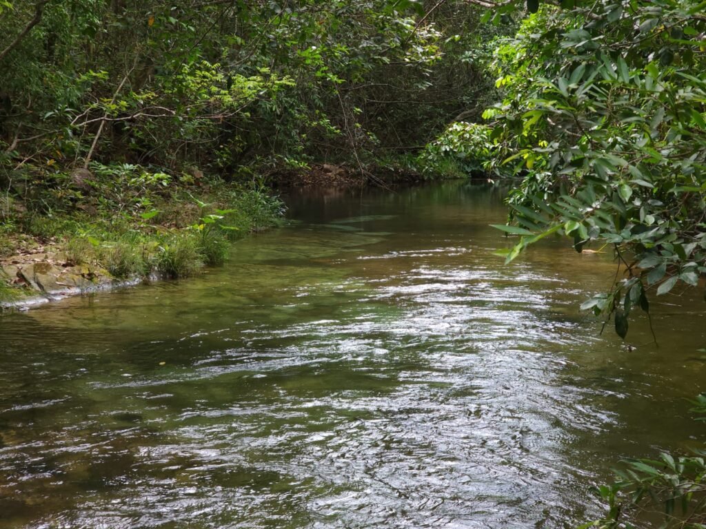 Maravilhosa Chácara de 37ha – Rio – Alto Paraíso de Goiás