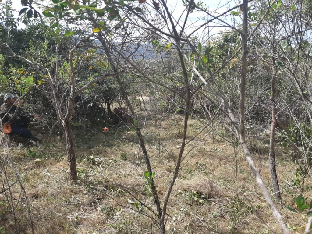 Lote 500.90 m2 – Rua Violeta – Eldorado 1 – Alto Paraíso de Goiás