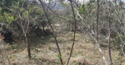 Lote 500.90 m2 – Rua Violeta – Eldorado 1 – Alto Paraíso de Goiás