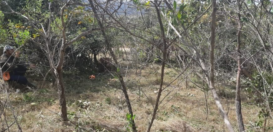 Lote 500.90 m2 – Rua Violeta – Eldorado 1 – Alto Paraíso de Goiás