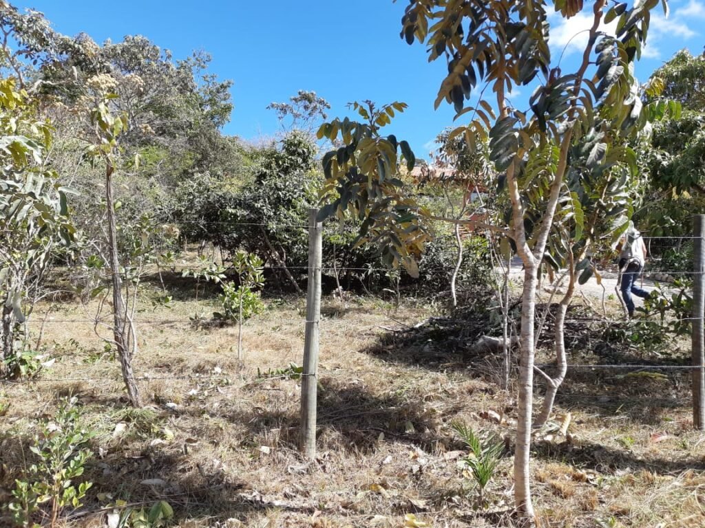 Lote 500.90 m2 – Rua Violeta – Eldorado 1 – Alto Paraíso de Goiás