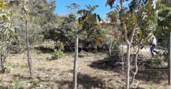 Lote 500.90 m2 – Rua Violeta – Eldorado 1 – Alto Paraíso de Goiás