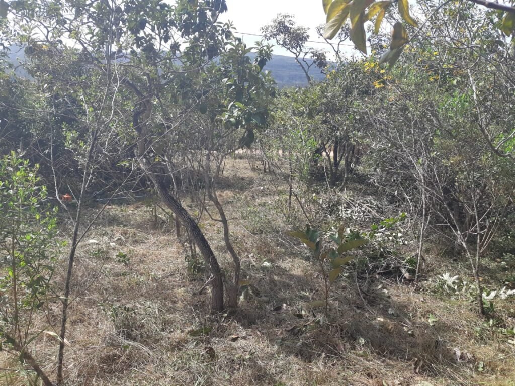 Lote 500.90 m2 – Rua Violeta – Eldorado 1 – Alto Paraíso de Goiás