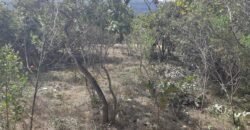 Lote 500.90 m2 – Rua Violeta – Eldorado 1 – Alto Paraíso de Goiás