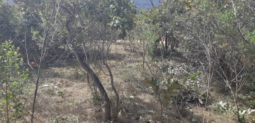 Lote 500.90 m2 – Rua Violeta – Eldorado 1 – Alto Paraíso de Goiás