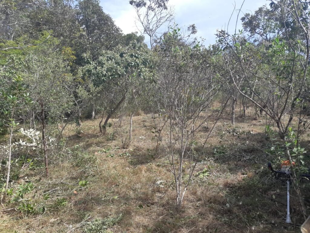 Lote 500.90 m2 – Rua Violeta – Eldorado 1 – Alto Paraíso de Goiás
