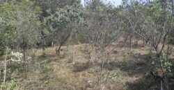 Lote 500.90 m2 – Rua Violeta – Eldorado 1 – Alto Paraíso de Goiás