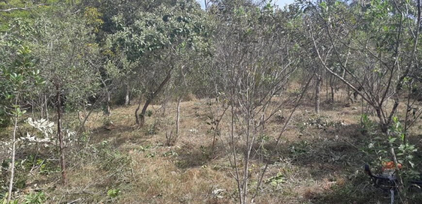 Lote 500.90 m2 – Rua Violeta – Eldorado 1 – Alto Paraíso de Goiás