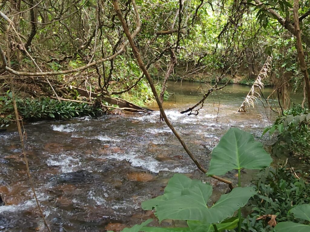 Maravilhosa Chácara de 37ha – Rio – Alto Paraíso de Goiás