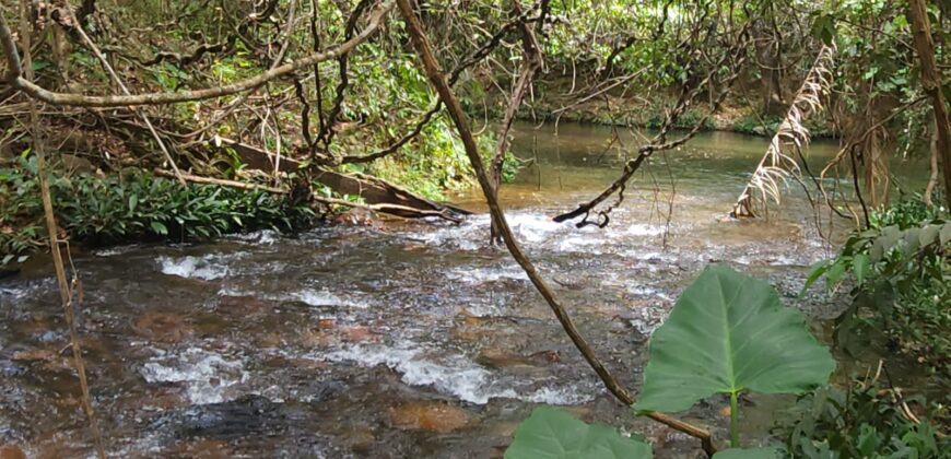 Maravilhosa Chácara de 37ha – Rio – Alto Paraíso de Goiás