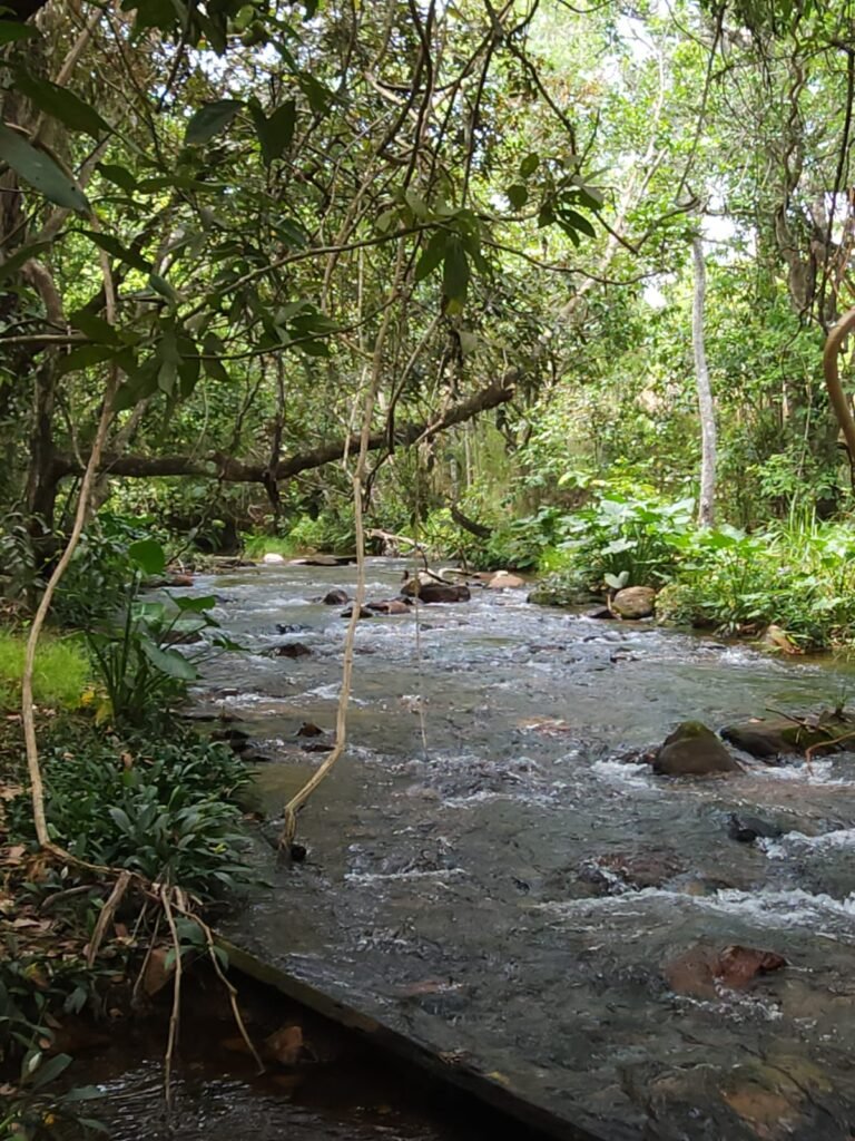 Maravilhosa Chácara de 37ha – Rio – Alto Paraíso de Goiás