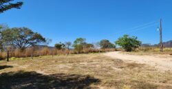 Fazenda 120 Alqueires – Pecuária/Agricultura – 2,5km de Teresina de Goiás – Chapada dos Veadeiros Fazenda 120 Alqueires – Pecuária/Agricultura – 2,5km de Teresina de Goiás – Chapada dos Veadeiros
