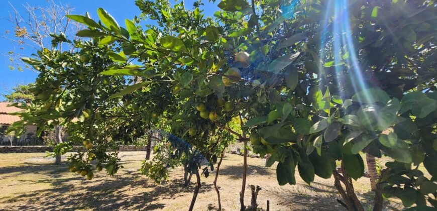 Fazenda 120 Alqueires – Pecuária/Agricultura – 2,5km de Teresina de Goiás – Chapada dos Veadeiros