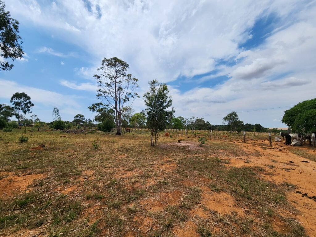 Fazenda 120 Alqueires – Pecuária/Agricultura – 2,5km de Teresina de Goiás – Chapada dos Veadeiros