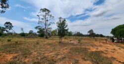 Fazenda 120 Alqueires – Pecuária/Agricultura – 2,5km de Teresina de Goiás – Chapada dos Veadeiros Fazenda 120 Alqueires – Pecuária/Agricultura – 2,5km de Teresina de Goiás – Chapada dos Veadeiros