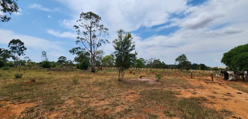 Fazenda 120 Alqueires – Pecuária/Agricultura – 2,5km de Teresina de Goiás – Chapada dos Veadeiros