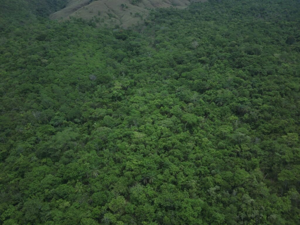 Maravilhosa Chácara de 37ha – Rio – Alto Paraíso de Goiás
