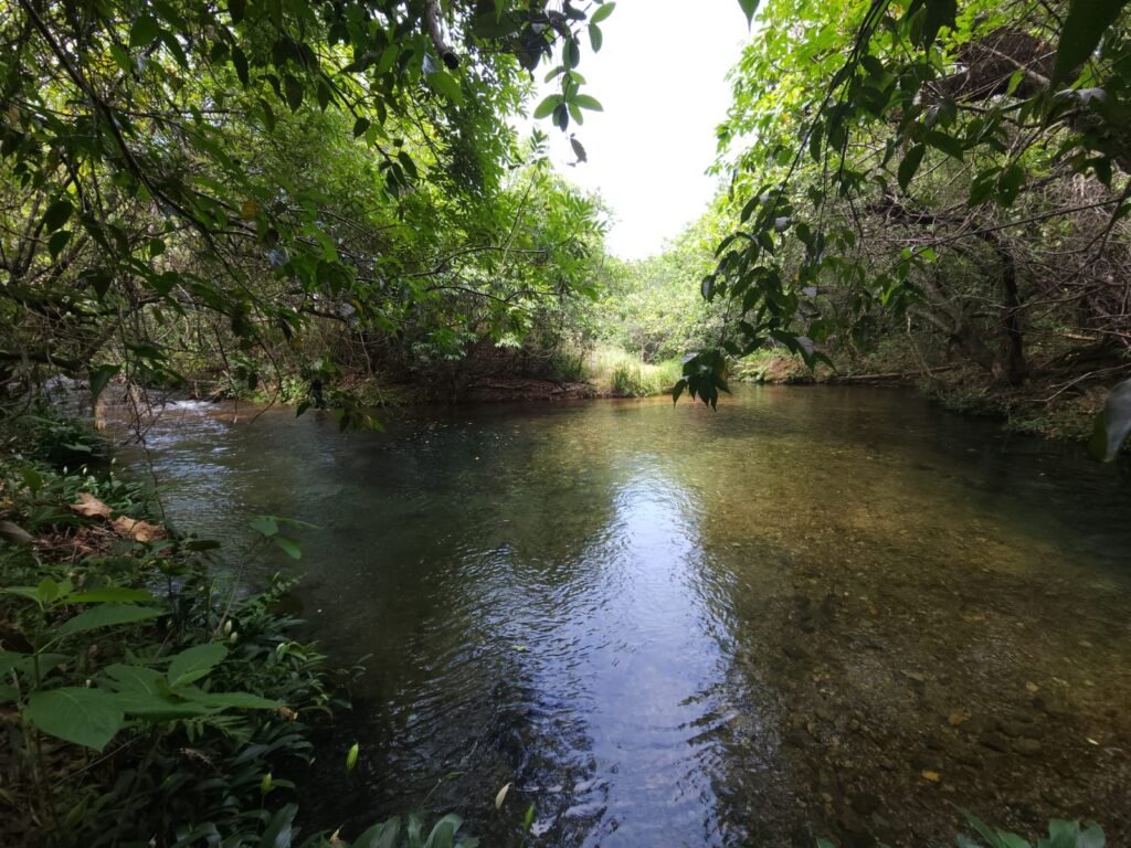 Maravilhosa Chácara de 37ha – Rio – Alto Paraíso de Goiás