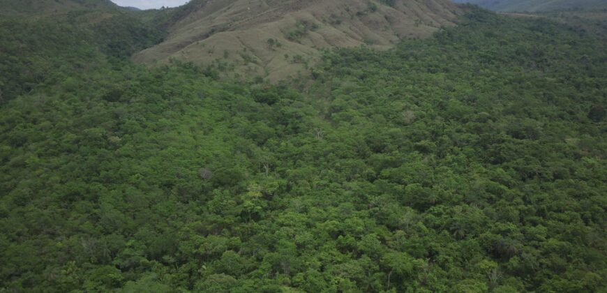 Maravilhosa Chácara de 37ha – Rio – Alto Paraíso de Goiás