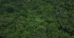 Maravilhosa Chácara de 37ha – Rio – Alto Paraíso de Goiás